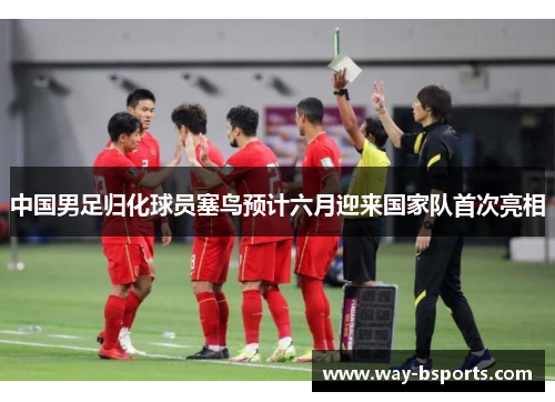 中国男足归化球员塞鸟预计六月迎来国家队首次亮相