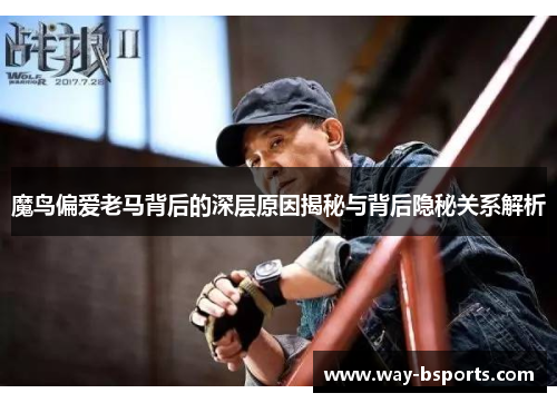 魔鸟偏爱老马背后的深层原因揭秘与背后隐秘关系解析 魔鸟偏爱老马背后的深层原因揭秘与背后隐秘关系解析